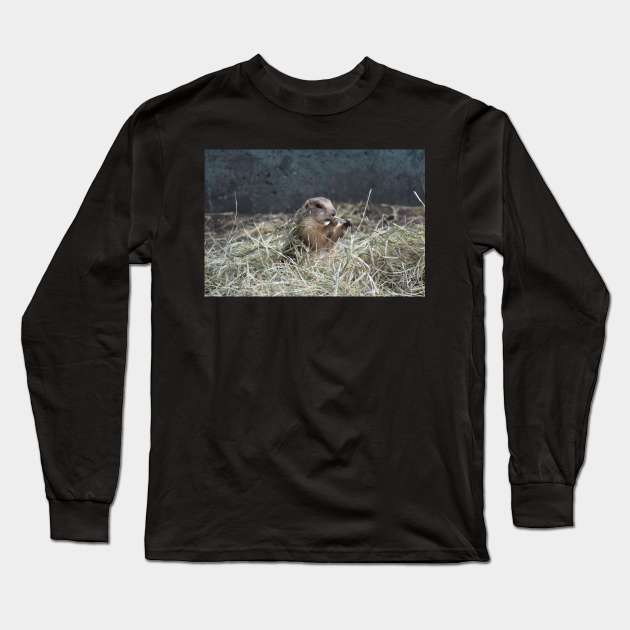 Prairie Dog in Hay Long Sleeve T-Shirt by MarieDarcy